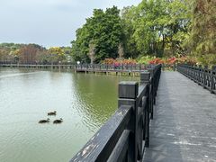 -海珠湖公园