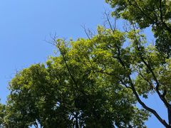 -福建师范大学(仓山校区)