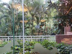 -麒麟中餐厅·经典粤菜·地道菜式老字号(广州长隆酒店)