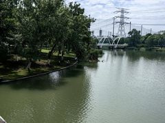 -九里河湿地公园