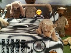 -济州岛泰迪熊博物馆