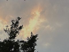 -禅悦素食