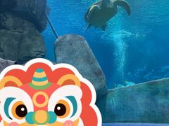 -福州罗源湾海洋世界旅游区