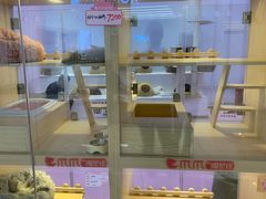 -爪爪喵星球·猫舍(前海卓越店)