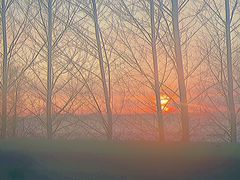 -七台河福临大碗麻辣烫