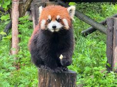-宁波野生动物园