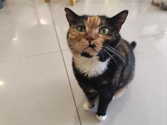 -平行世界·猫咖(首经贸店)