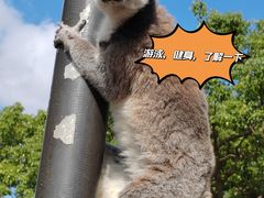 -上海野生动物园