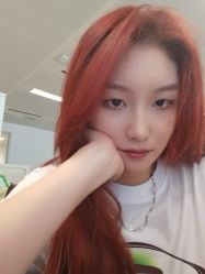 -蚂蚁造型俱乐部