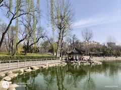 -莲湖公园