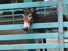 -酷鱼垂钓CLUB(朝阳区博大路店 )