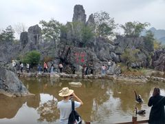 -千岛湖石林