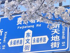 -新天地活力PARK