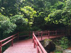 -赤水丹霞旅游区·佛光岩