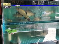 -佤家大院(南门店)