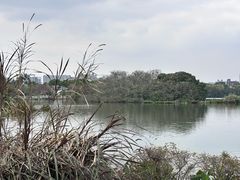 -海珠湖公园