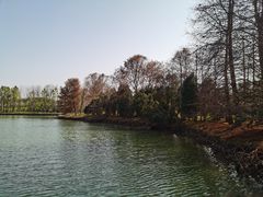 -上海海湾国家森林公园