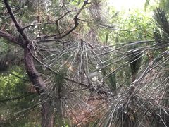 -观唐（国际）度假村温泉