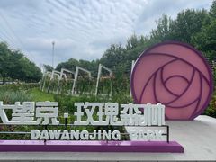 -大望京公园