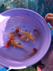 -萌宠亲子动物乐园(槐房万达店)