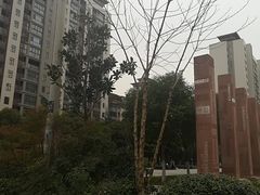 -木塔寺遗址生态公园