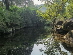 -重庆彩云湖湿地公园