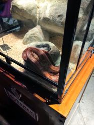 点击看大图 -酷嗒动物文化乐园(cutezoo西溪乐天城店)