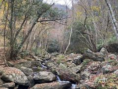 -燕子河大峡谷天坑仙境