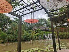 -中国科学院西双版纳热带植物园