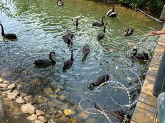 -长白岛森林公园