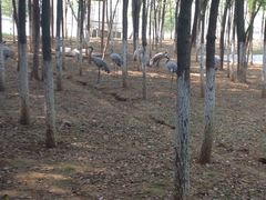 -艾溪湖湿地公园