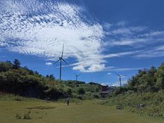 -齐岳山