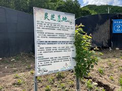 -参仙谷生态旅游度假区