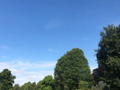 -海德公园