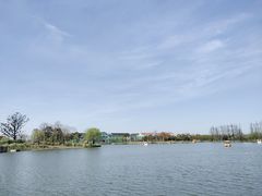 -上海长兴岛郊野公园