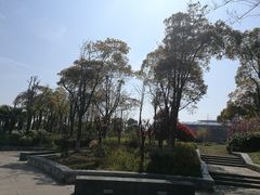 -上海滴水湖皇冠假日酒店