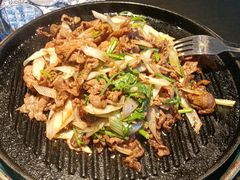 -喜悦烤鸭·新京菜(王府井店)