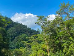 -白云山风景名胜区