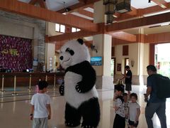 -三亚亚龙湾天域度假酒店