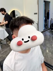 -YESIDO椰岛造型