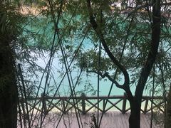 -广州市流溪河国家森林公园