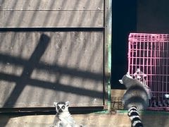 -昆明动物园