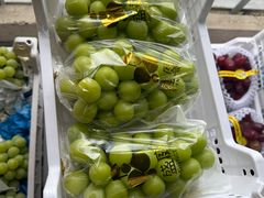 -马陆小张葡萄园农家乐