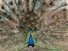 -水上乐园·欢乐世界