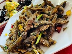 -品雅轩农家乐