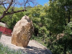 -北京西山国家森林公园