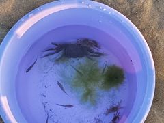 -烟台金沙滩海滨公园