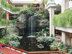 -广州白天鹅宾馆
