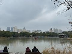 -江心屿景区