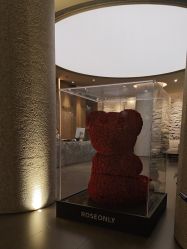 -VELEE·SPA高定疗愈会所